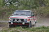 db_cDSC_37811